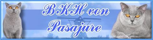 Banner Pasajure